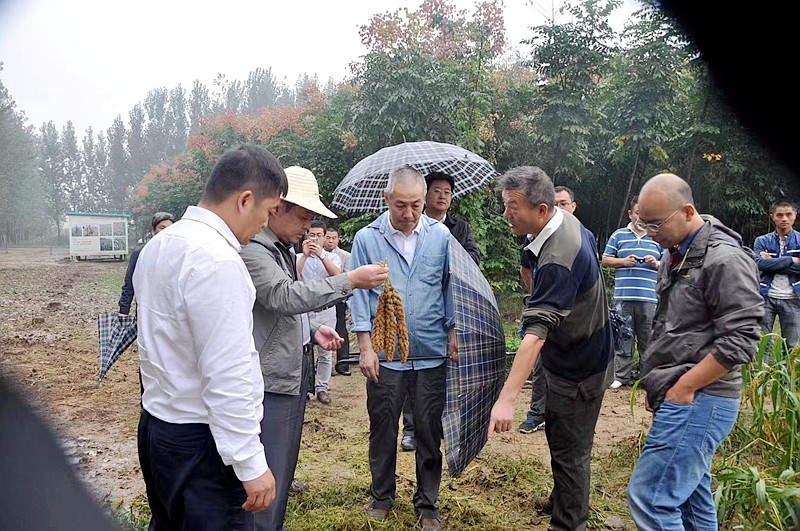 縣域經濟發展